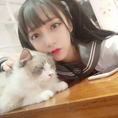 星际三国中文版下载变态版
